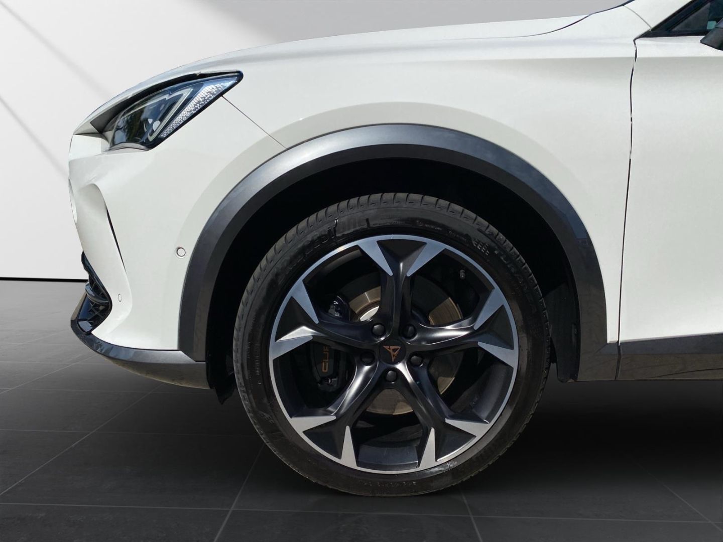 Cupra Formentor 2.0 VZ 4Drive*Navi*Matrix-LED*AHK*