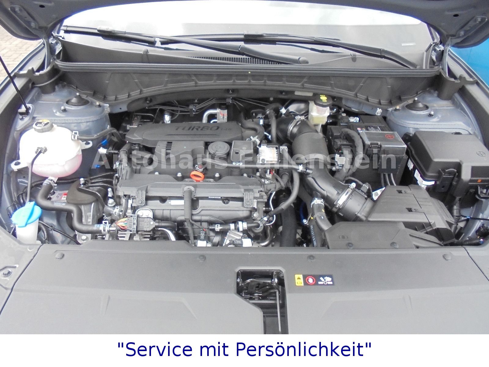 Hyundai Tucson NX4 GO Plus Mild-Hybrid 2WD - Samsaru's Car Outlet