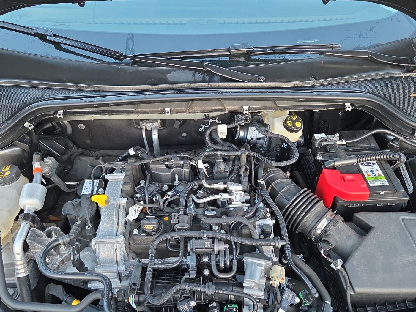 Ford Focus Turnier Active X 1.0 EcoBoost MHEV *iACC*P