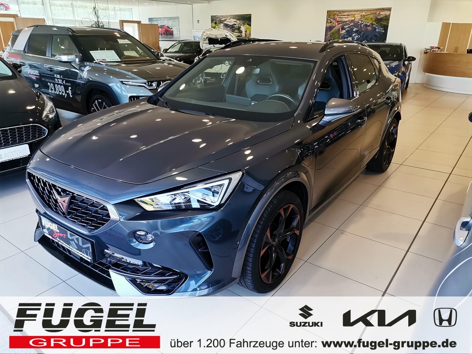 Cupra Formentor 1.4 TSI DSG VZ e-Hybrid Winter|LED|Nav