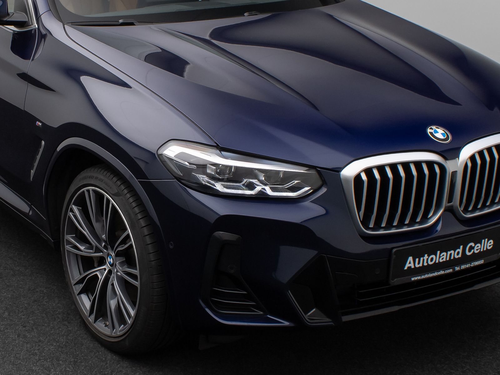 BMW X3 xD30d M Sport Panoram Kamera DAB HiFi AHK 21"