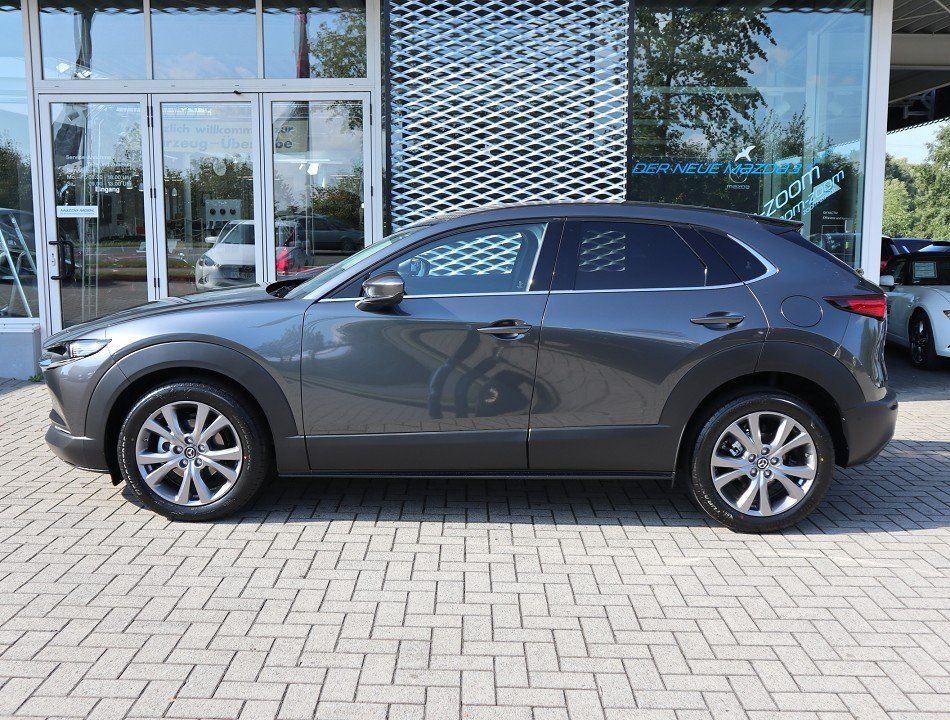 Mazda CX-30 M-Hybrid Takumi G-140 AT LEDER-S Allwetter