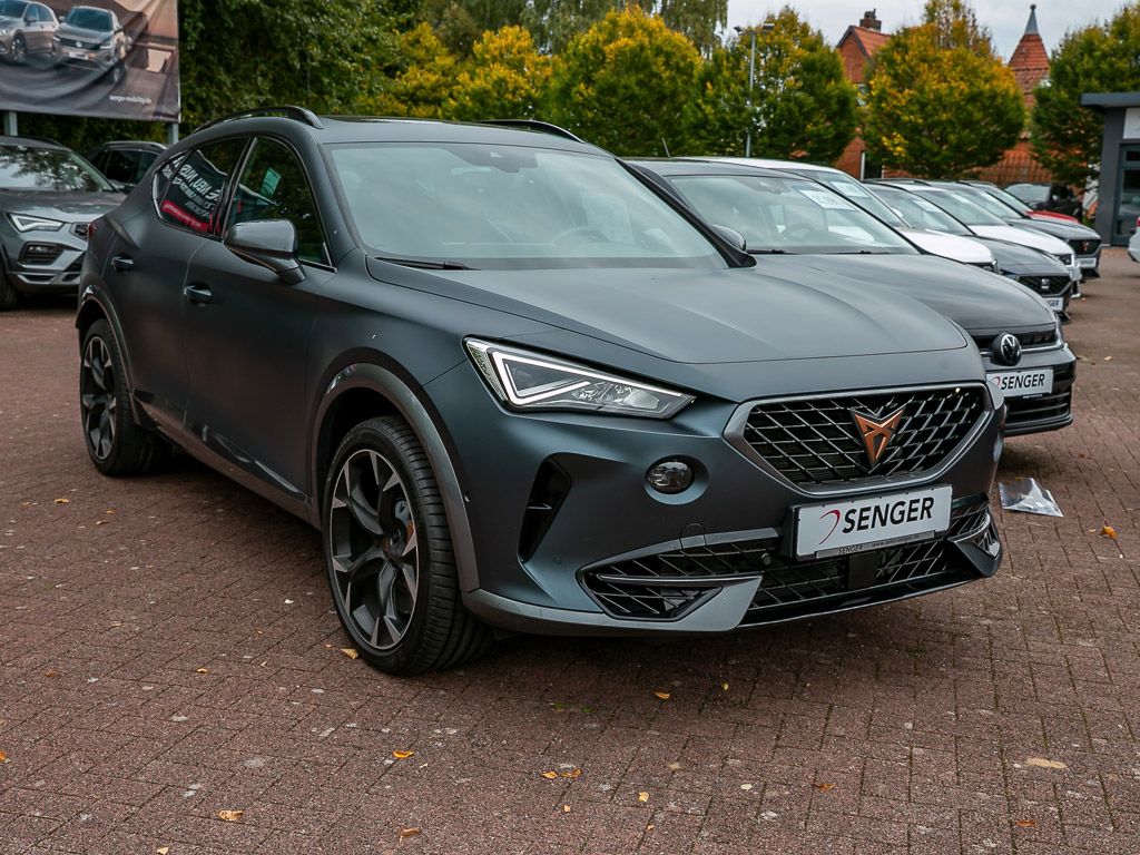 Cupra Formentor 2.0 TSI VZ 4Drive DSG Pano Brembo AHK