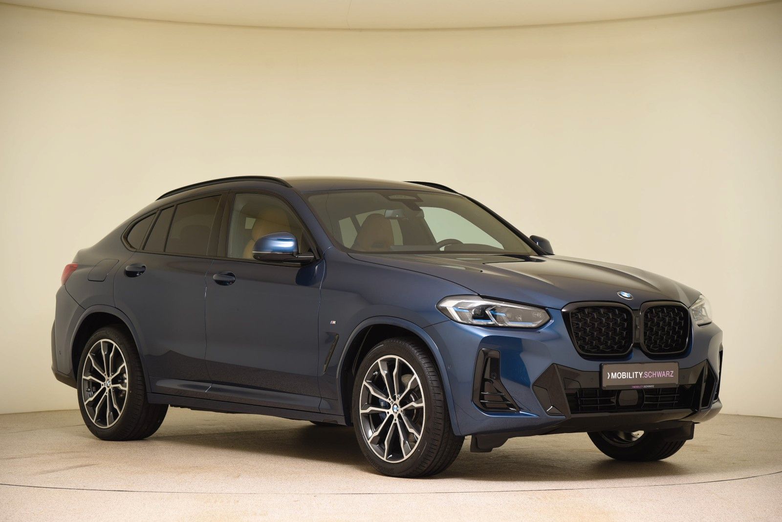 BMW X4 xDrive30d M Sport HUD ACC Laser AHK Standhzg