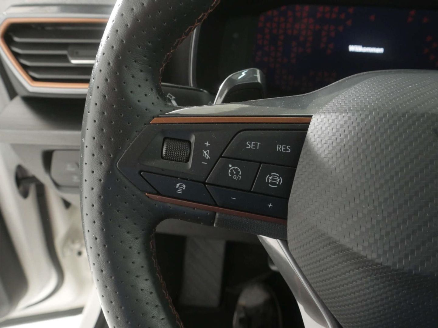 Cupra Formentor 1.4 DSG e-Hybrid AHK/P-Dach/NAV/RFK/SH