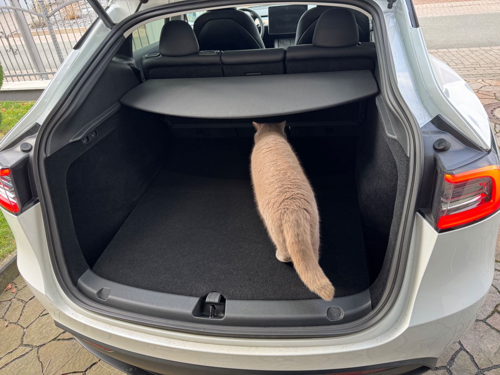 Tesla Model Y Performance Dual AWD Autopilot MwSt. 21"