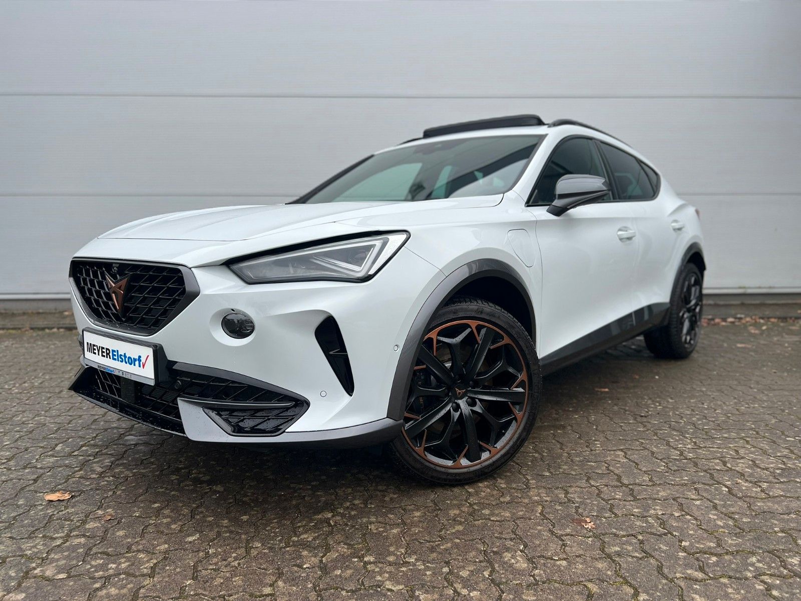 Cupra Formentor 1.4 e-Hyb. VZ DSG - AHK - Leder - Pano