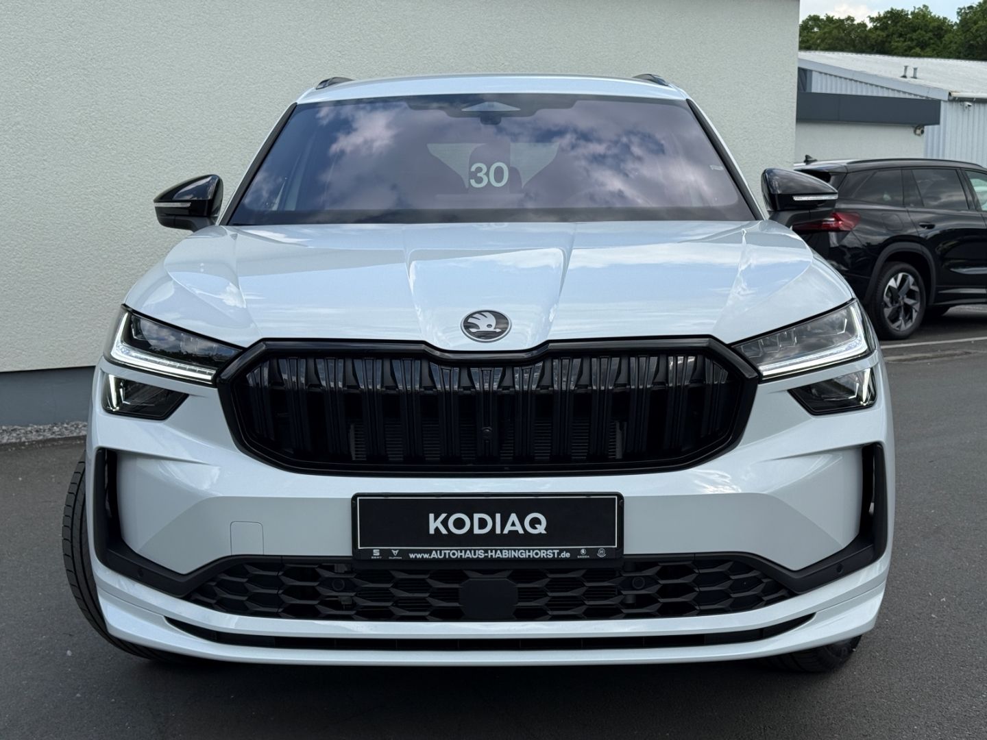 Skoda Kodiaq II 1.5 TSI iV DSG Sportline AHK Navi DCC