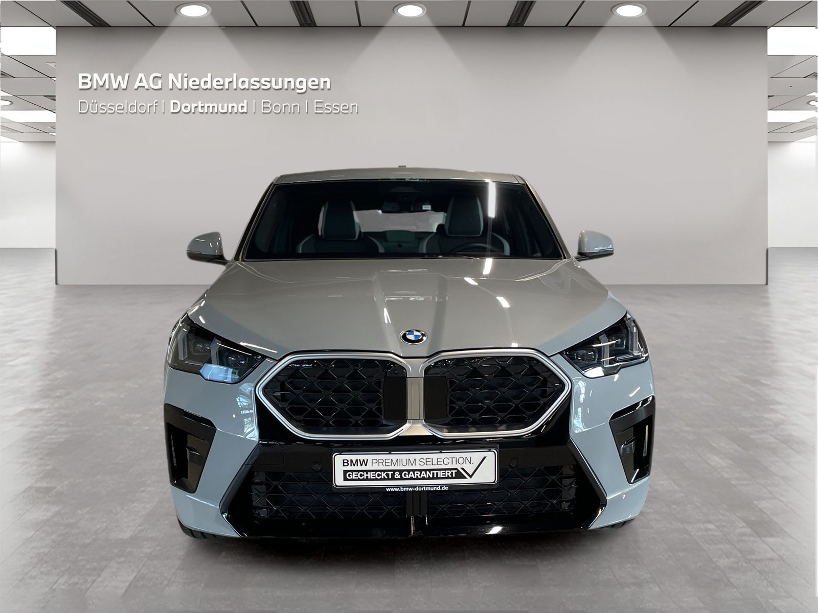 BMW X2 xDrive20d M Sport AHK Driv.Assist+ Head-Up