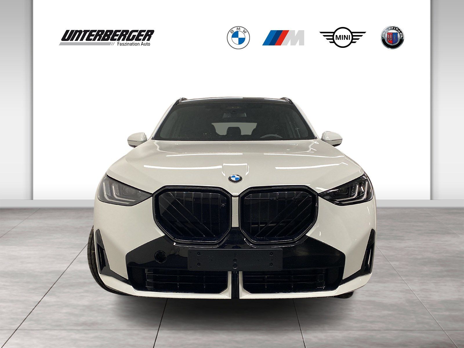 BMW X3 30e xDrive M Sportpaket HK HiFi DAB LED RFK