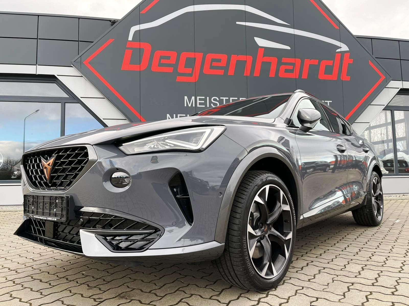 Cupra Formentor VZ 2,0 TSI 4Drive DSG AHK Navi el Heck