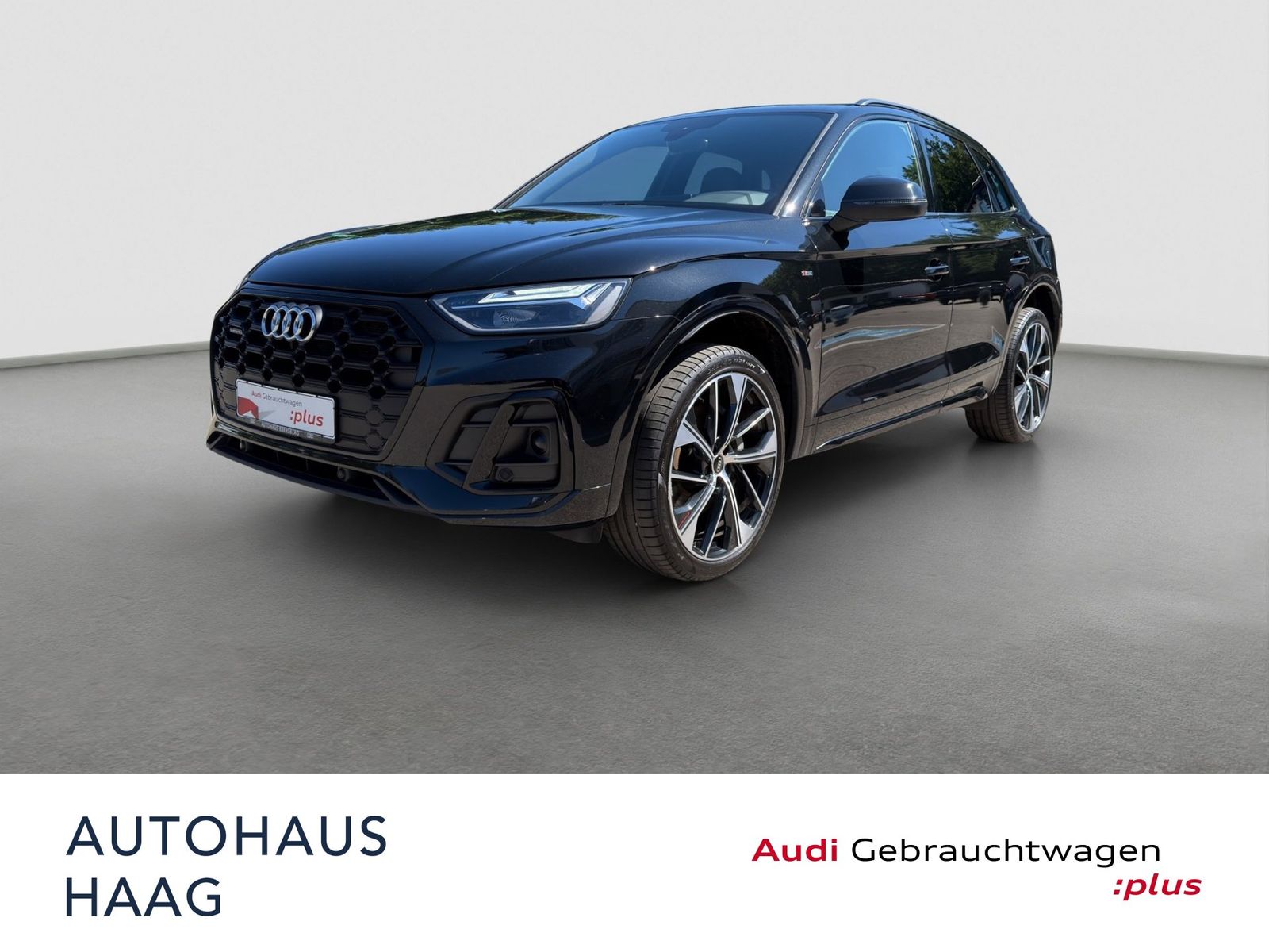 Audi Q5 S line 50 TFSI e qu Kamera ACC AHK Virtual