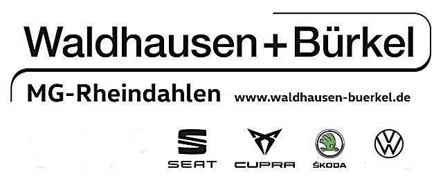 Cupra Formentor VZ 2.0 TSI+AHK+Top View+E-Sitz Klima