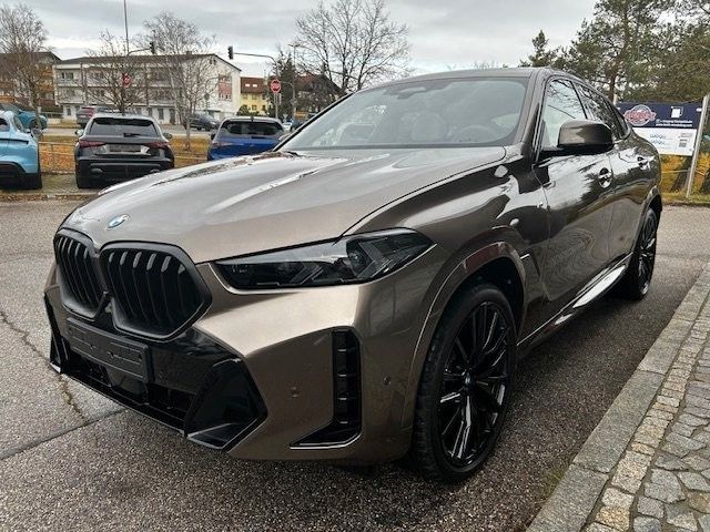 BMW X6 xDrive40d/SEPANG BRONZE/1OF/B&W/FULL-FULL!
