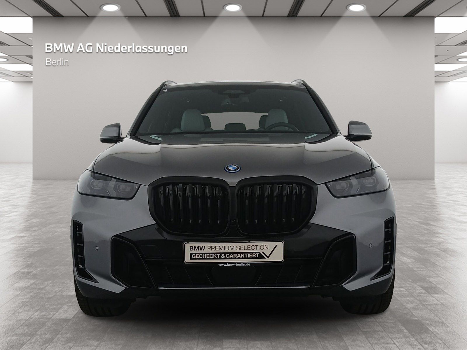 BMW X5 xDrive50e M Sport AHK Driv.Assist.Pr. AHK GSD