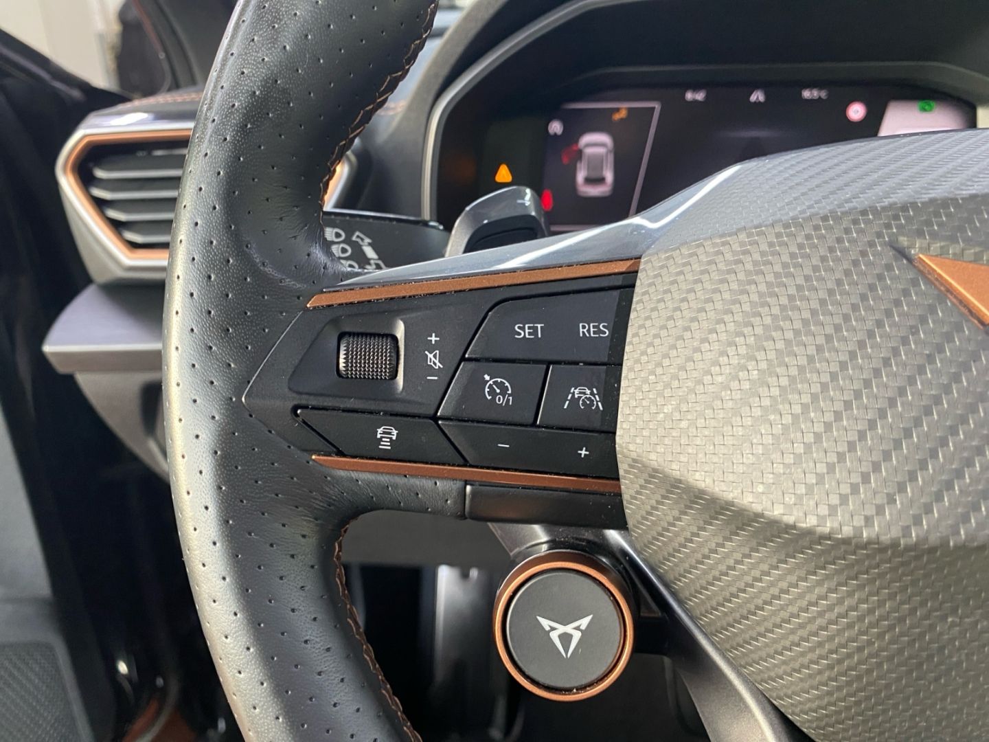 Cupra Formentor VZ 2.0 TSI 4Dr DSG *Brembo*AHK*Leder*