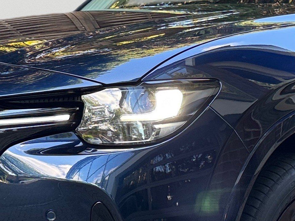 Mazda CX-60 e-SKYACTIV-D 254 Homura Conv.&Sound / AHK