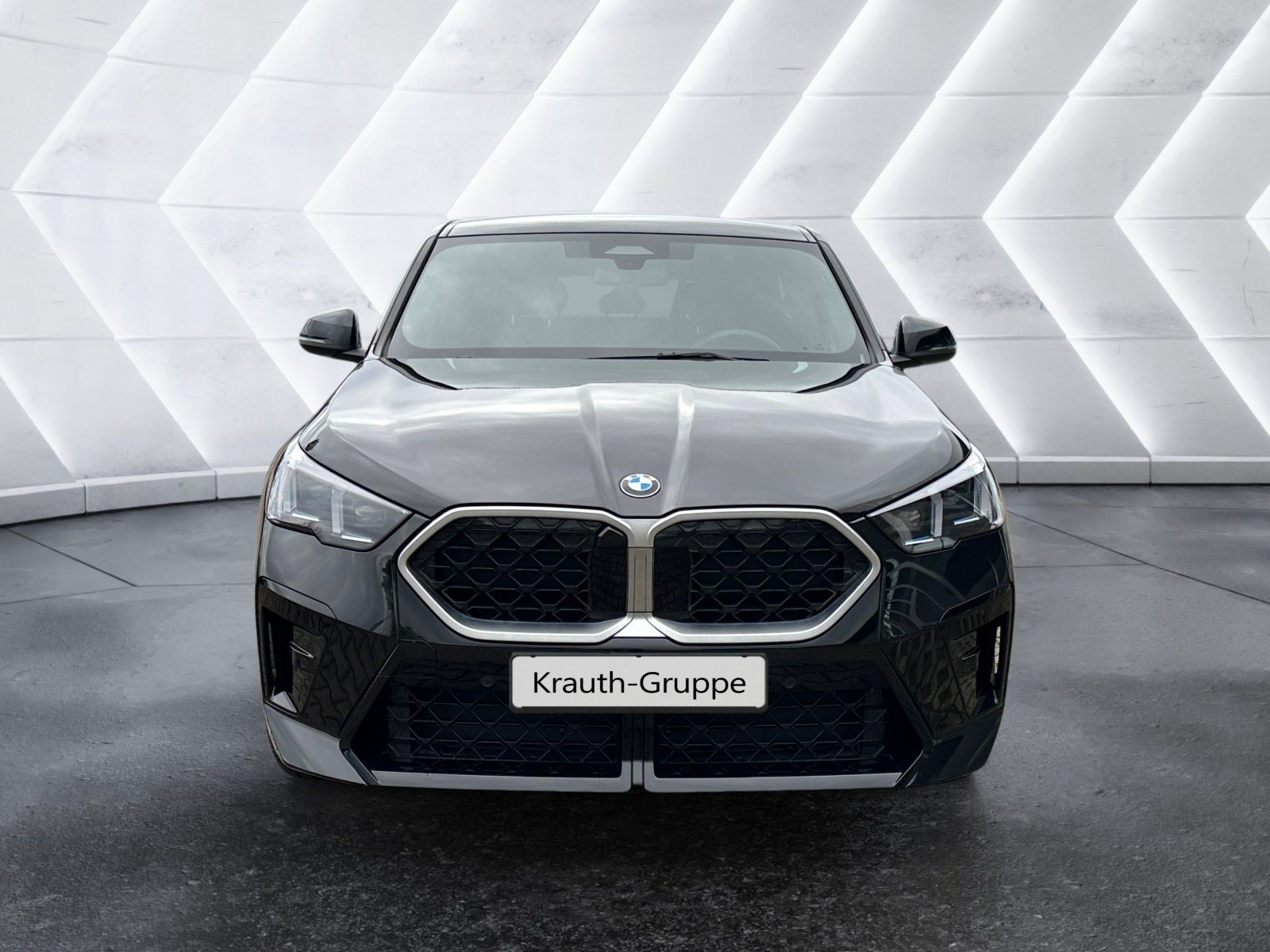 BMW X2 xDrive20d M Sportpaket HK HiFi DAB LED Shz