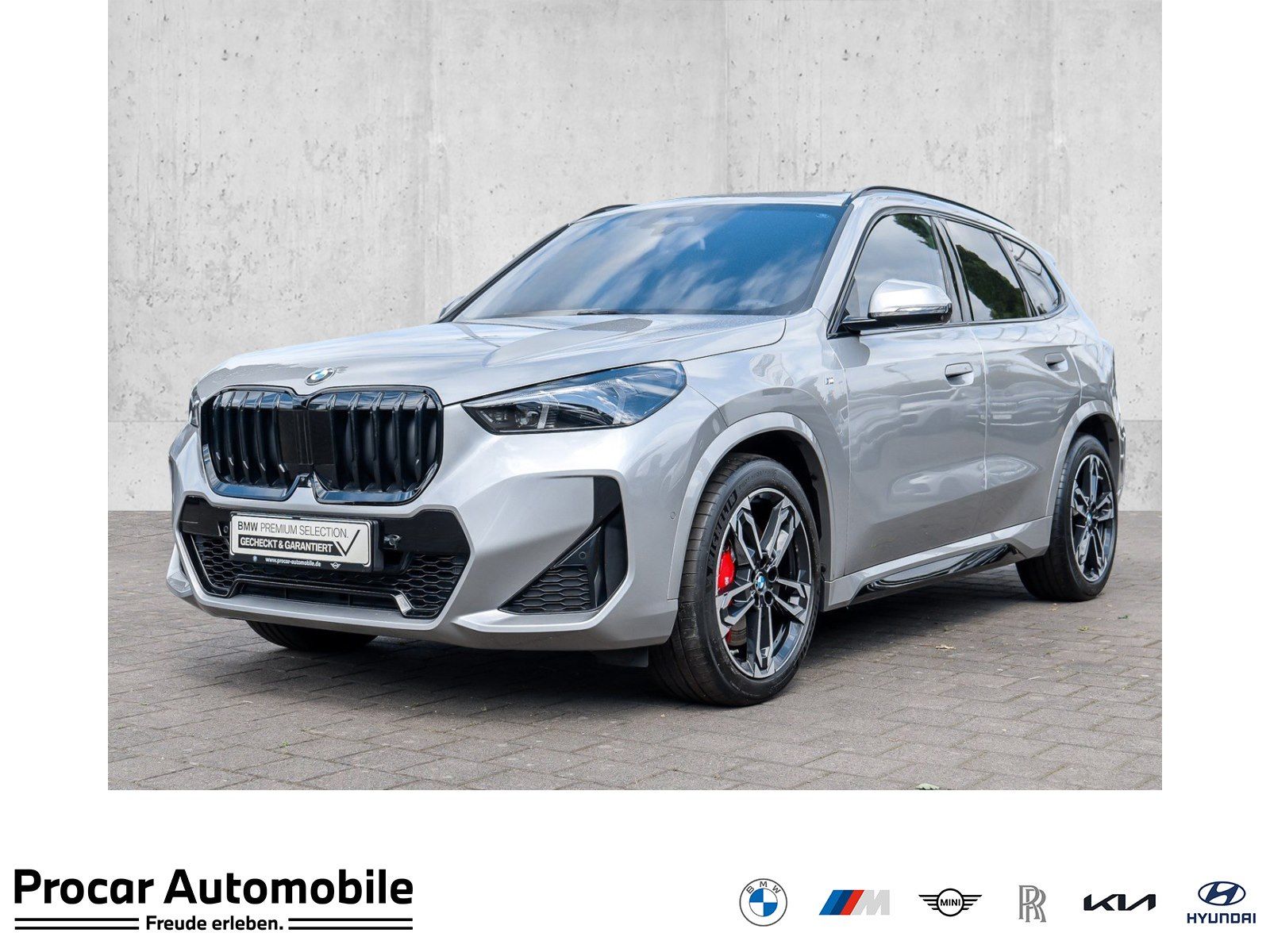 BMW X1 xDrive20d M Sport HUD ACC AHK RFK NAVI LED