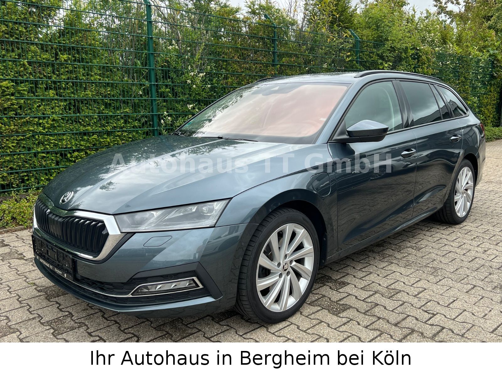 Skoda Octavia Combi First Edition iV - Samsaru's Car Outlet