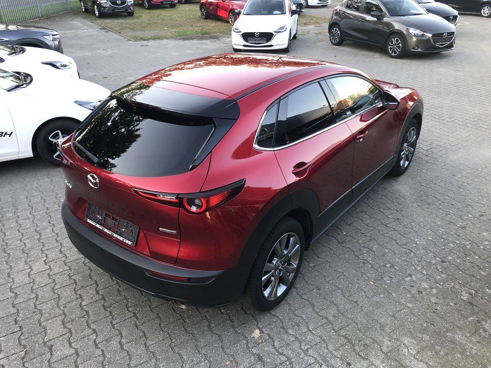 Mazda CX-30 SKYACTIV-X M Hybrid SELECTION, AUTOMATIK,