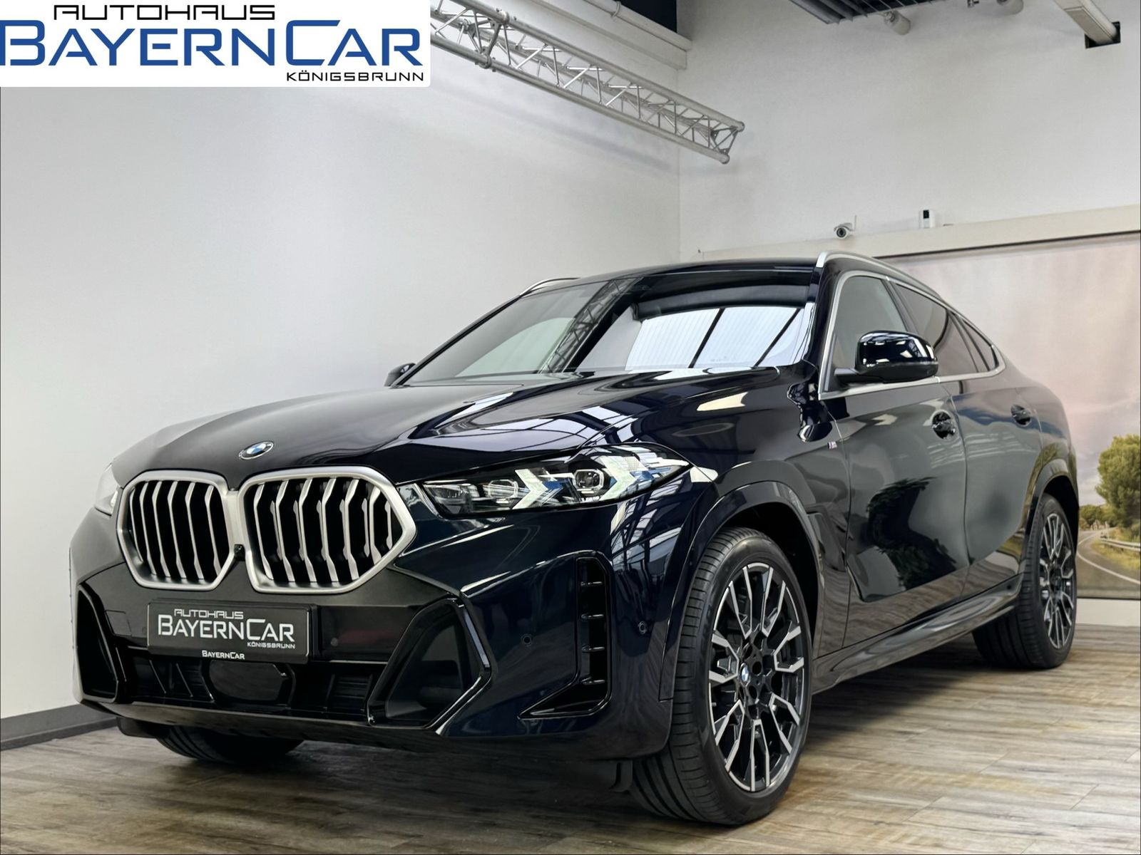 BMW X6 xDr40i M Sport Luftfeder AHK Sitzlüft ACC Sky
