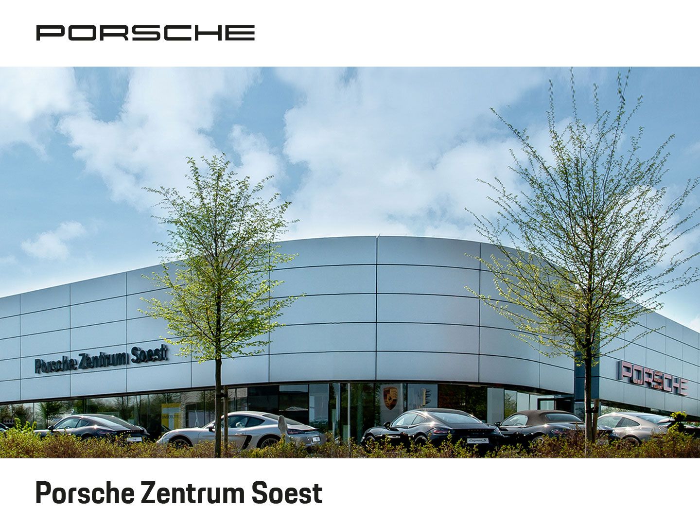 Porsche Macan 20 Zoll/PASM/PDLS Plus/Panorama/BOSE