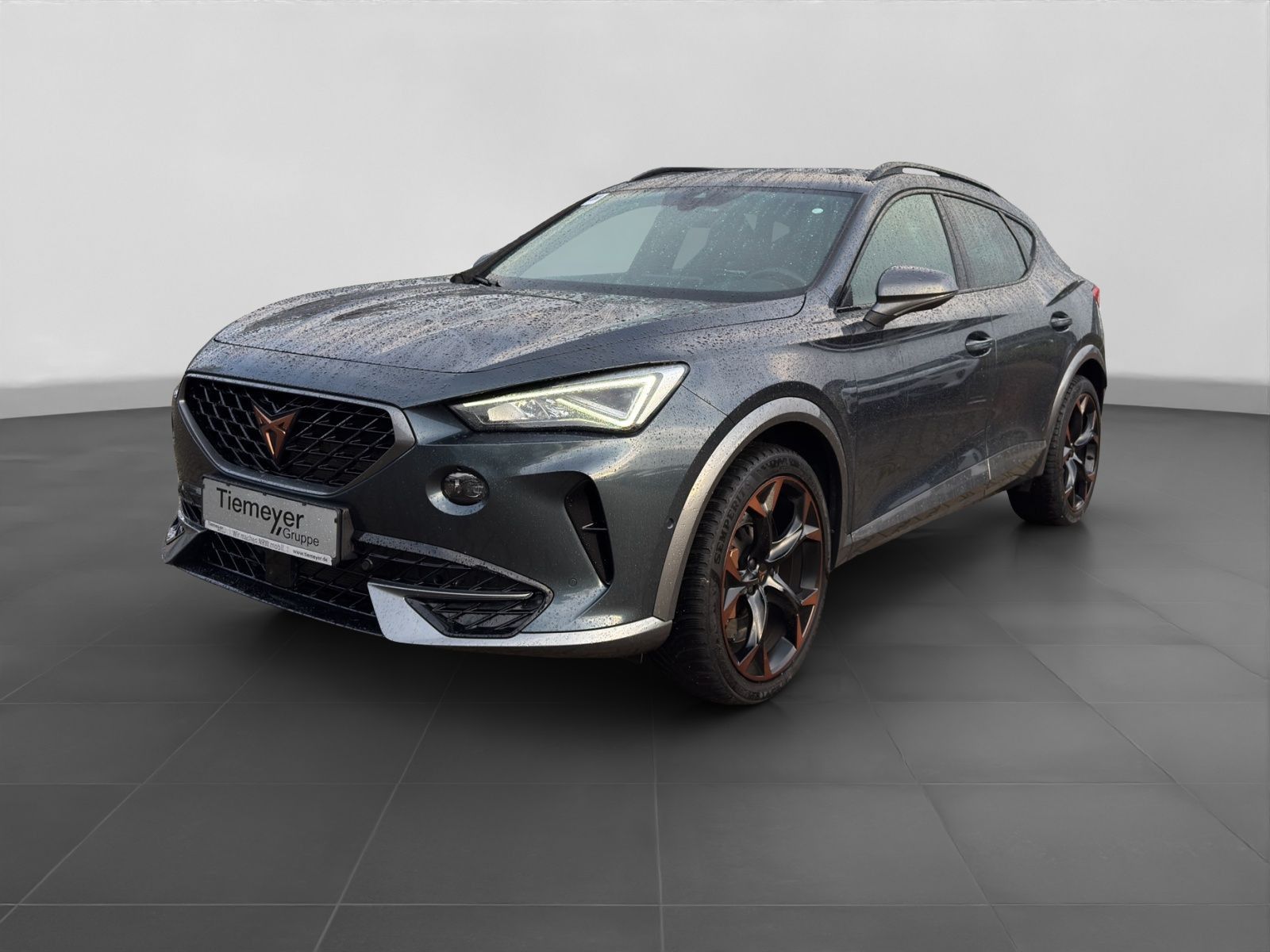 Cupra Formentor VZ 2.0 TSI BREMBO PANO AHK BEATS eKLAP