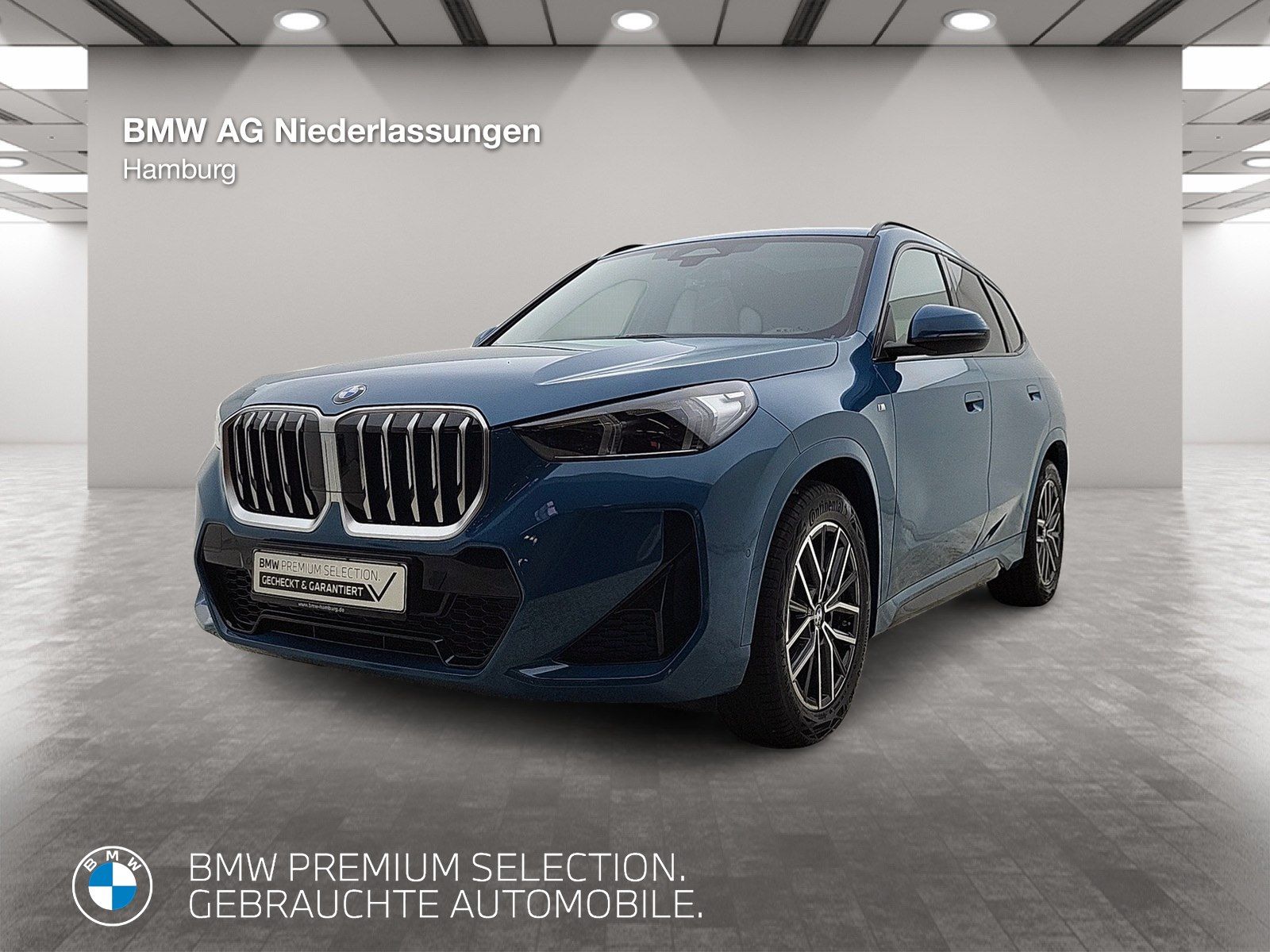 BMW X1 xDrive20d M Sport AHK Driv.Assist+ Harman/K