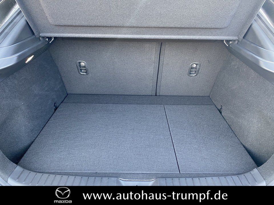 Mazda CX-30 186PS AWD 6AG SELECTION DESIGN-u.PREMIUM-P