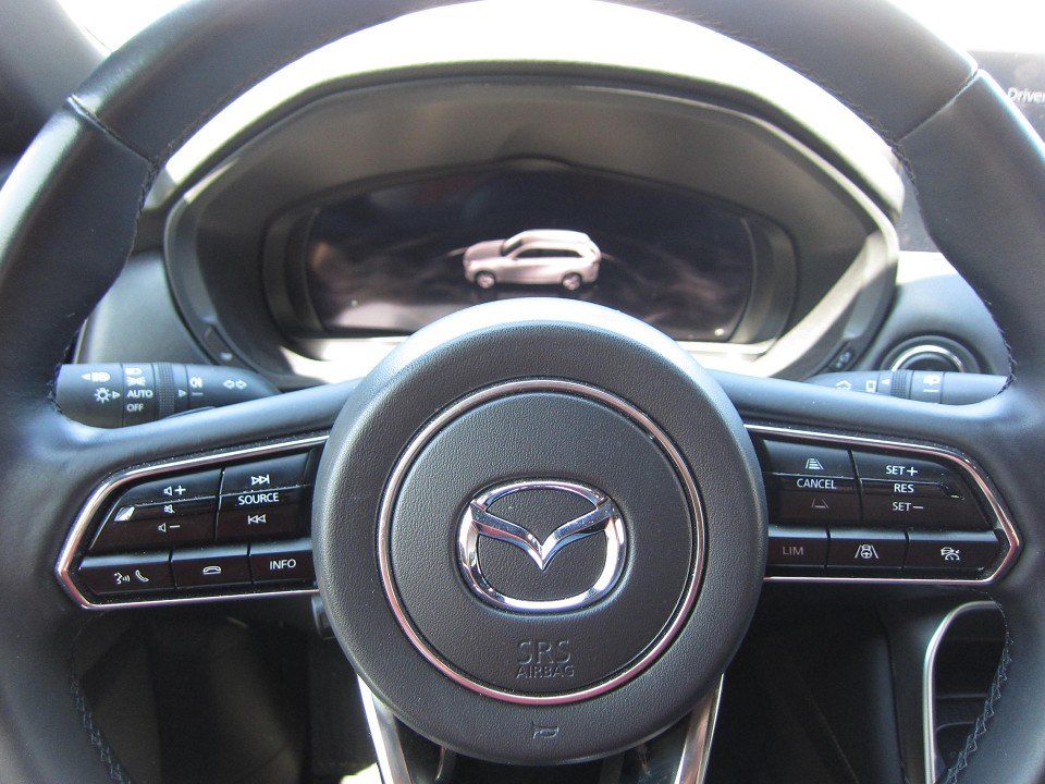Mazda CX-80 3.3L e-SKYACTIV D 254ps 6 Zylinder / 360°