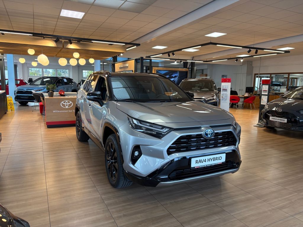 Toyota RAV 4 Hybrid Style Selection *AHK & JBL*