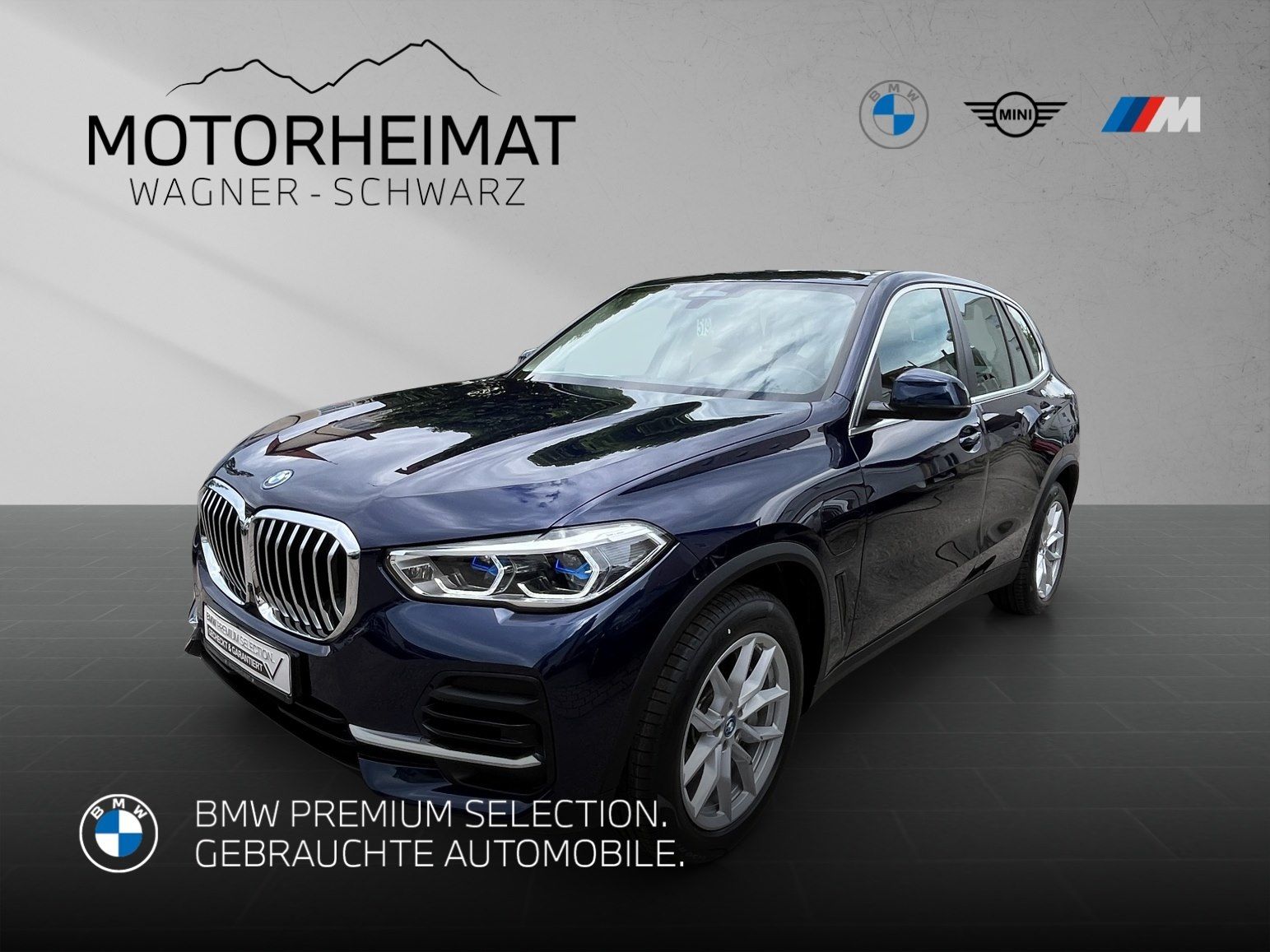 BMW X5 xDrive45e Individual ACC HUD 360° Laser