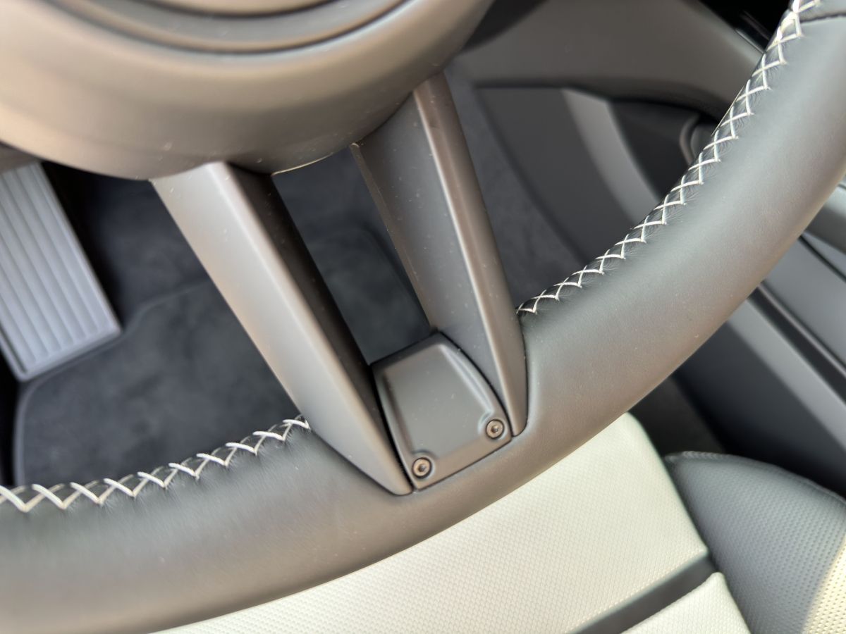 Porsche Cayenne S E-Hybrid | Hinterachslenkung | PDCC |