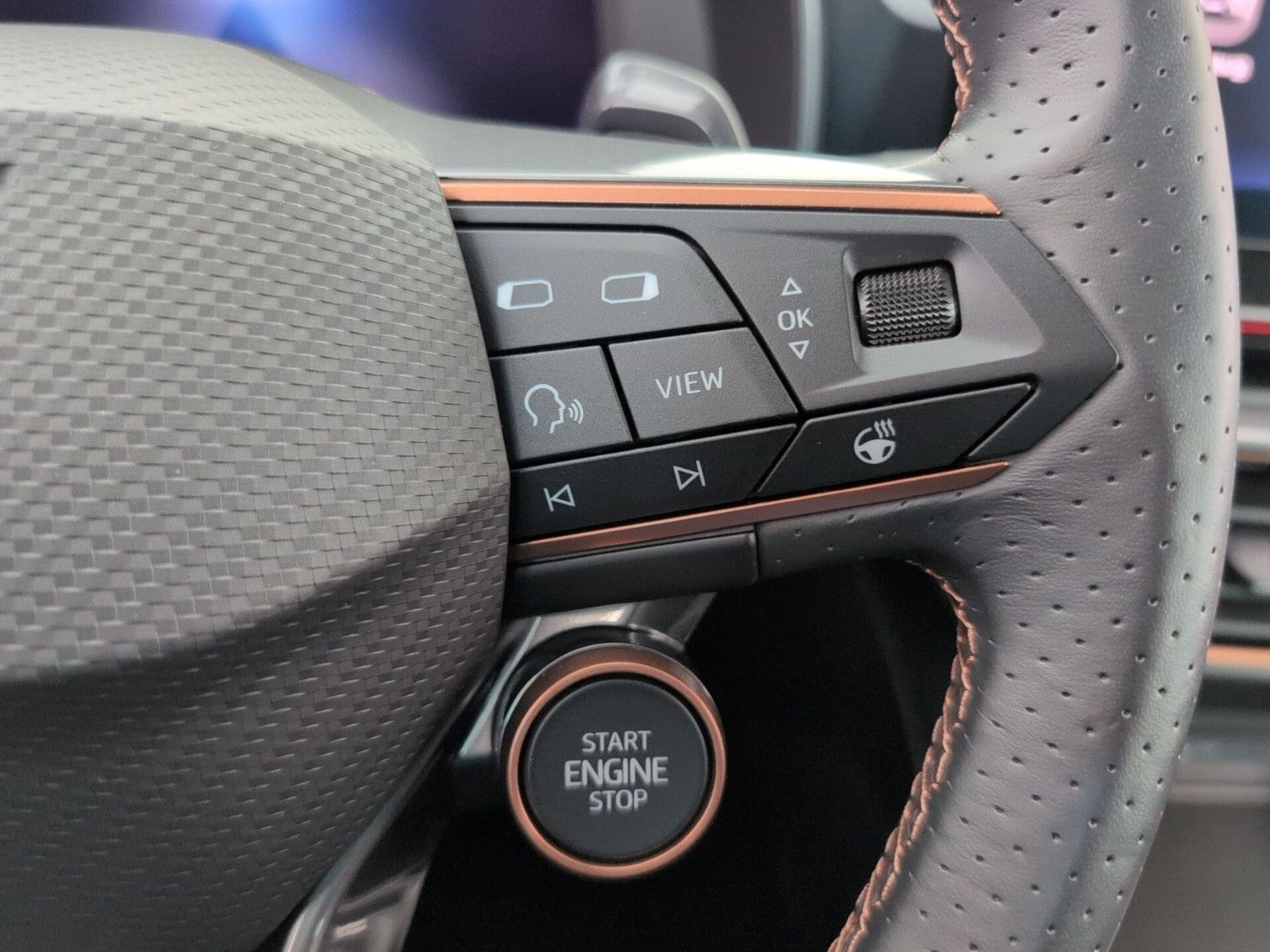 Cupra Formentor 2.0 TSI VZ AHK PANO LEDER CUP COPPER