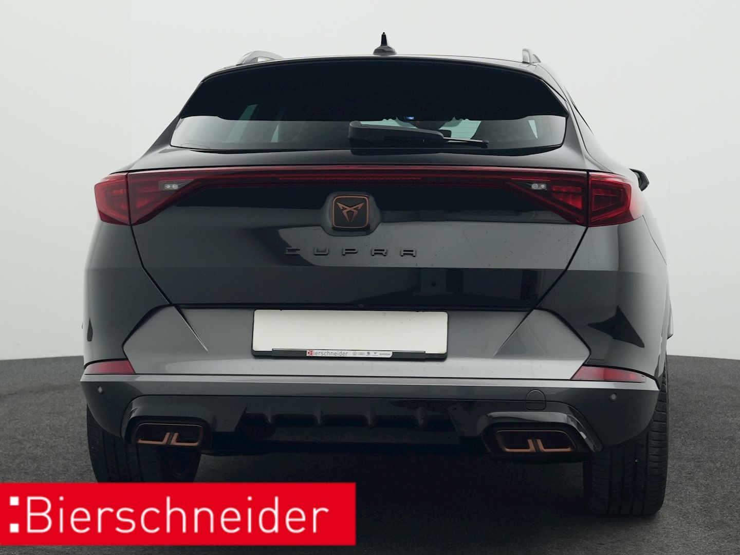 Cupra Formentor 1.4 TSI DSG e-Hybrid VZ PANO AHK KAMER
