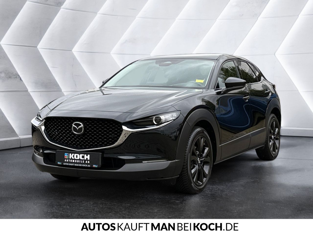 Mazda CX-30 2.0 SKYACTIV-X M Hy. Homura AT Navi ACC