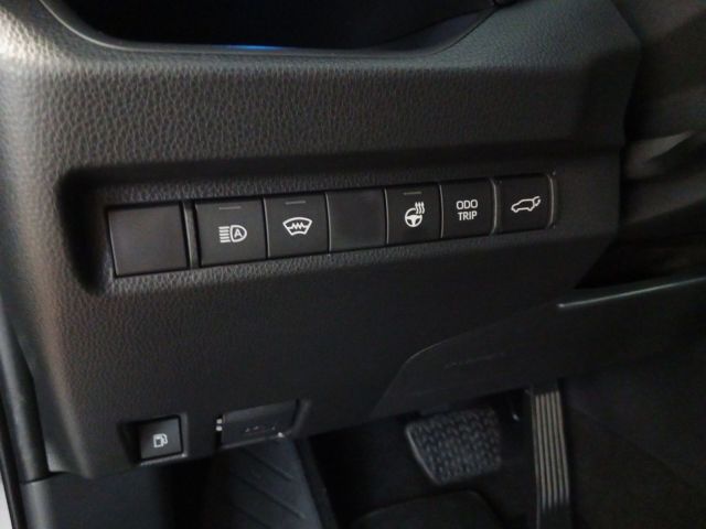 Toyota RAV 4 Plug-in-Hybrid Teamplayer