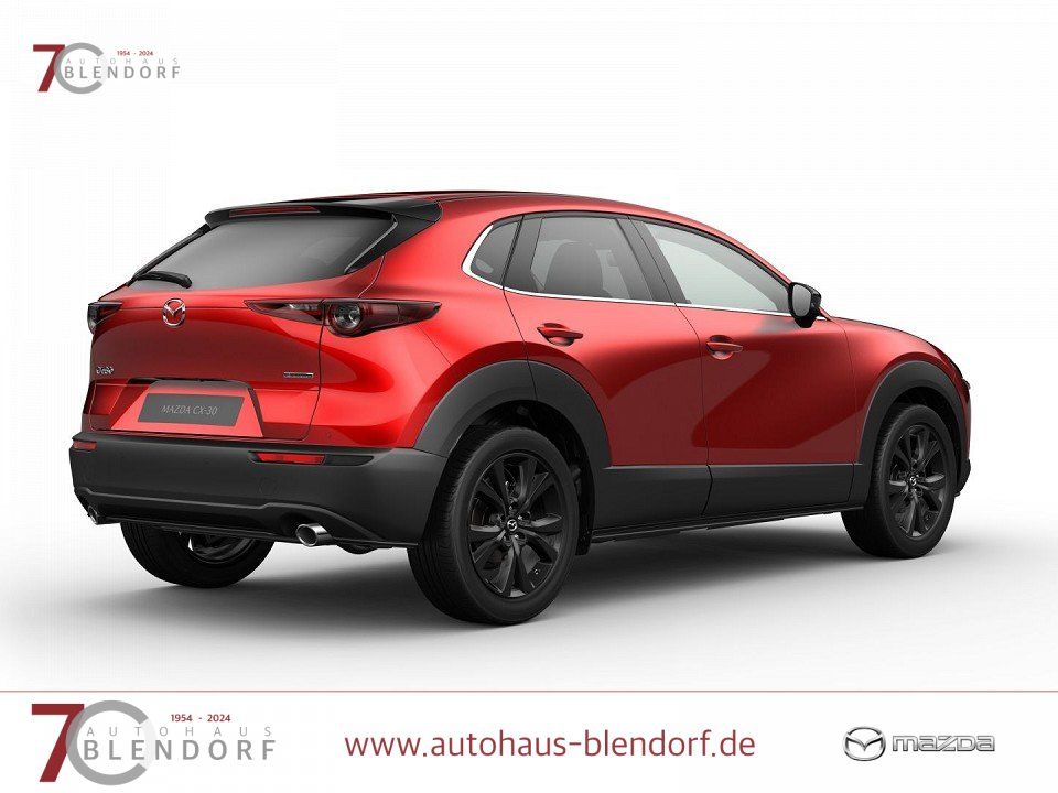 Mazda CX-30 Homura 140 Automatik Navi|Alexa|LED