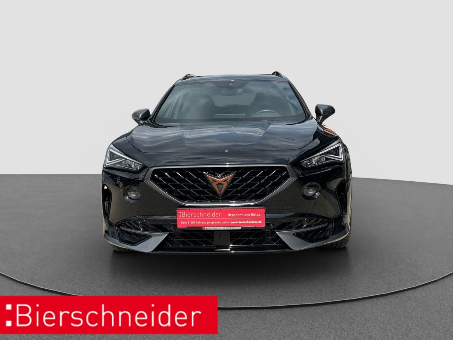 Cupra Formentor 1.4 e-Hybrid DSG VZ ab mtl. 199,- Euro