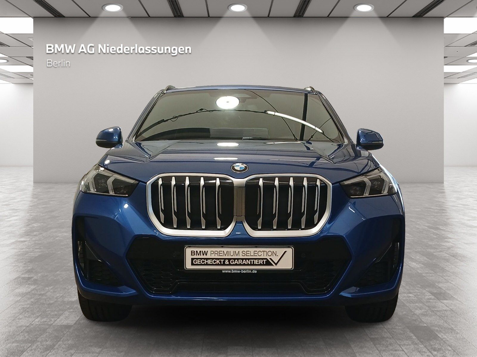 BMW X1 xDrive20d M Sport Leder Navi AHK Driv.Assist+