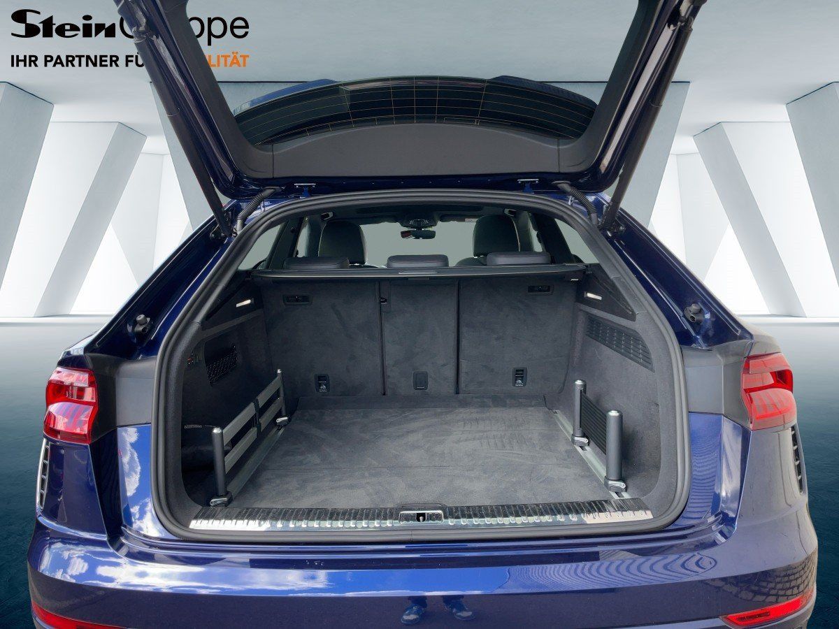 Audi RSQ8 4.0 TFSI tiptronic quattro Matrix Pano ACC