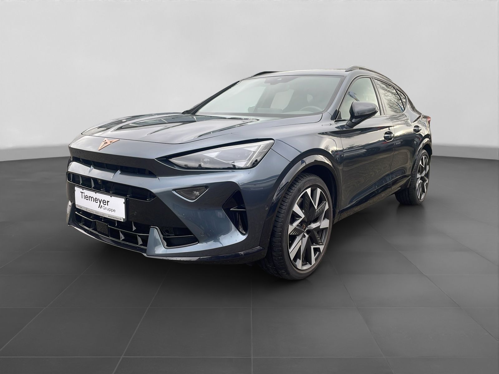 Cupra Formentor VZ 2.0 TSI LM19 PANO AHK MATRIX 360 SU