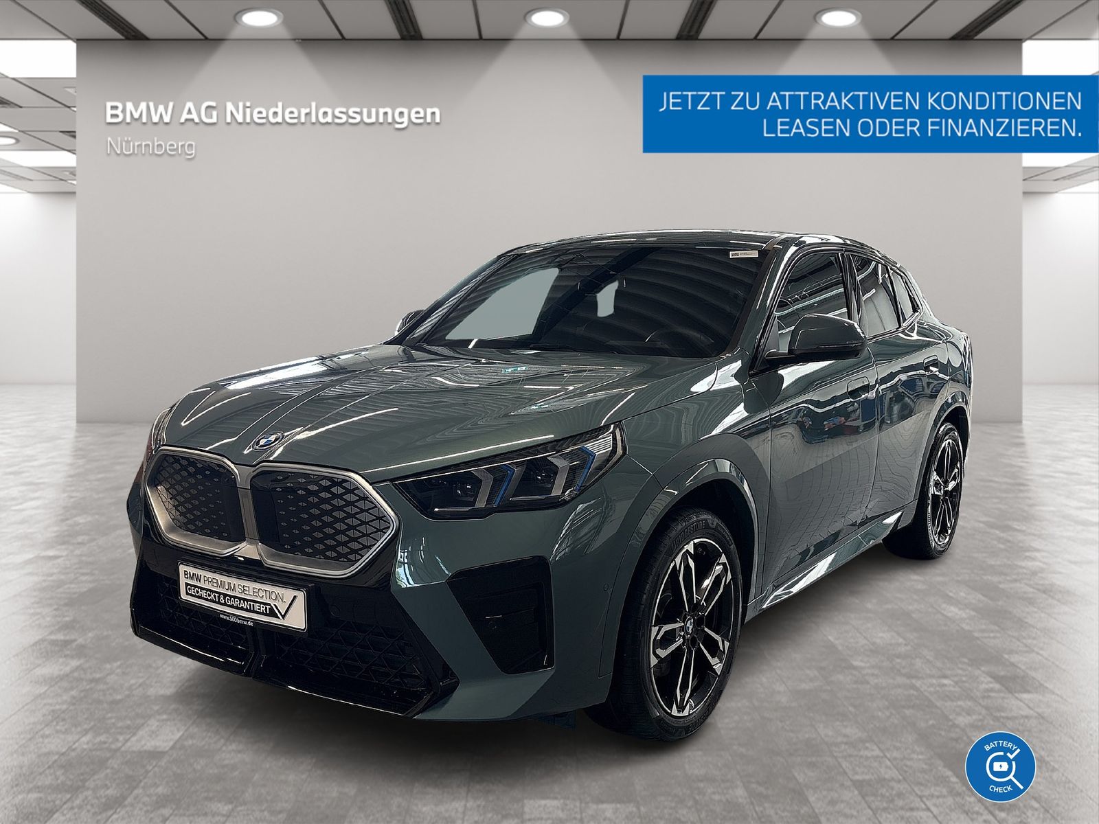 BMW iX2 xDrive30 M Sport Driv.Assist.Prof Harman/K