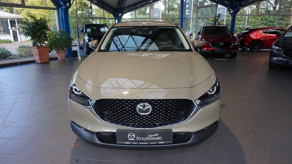 Mazda CX-30 2.5L e-SKYACTIV 140ps 6AT FWD Takumi BLOP