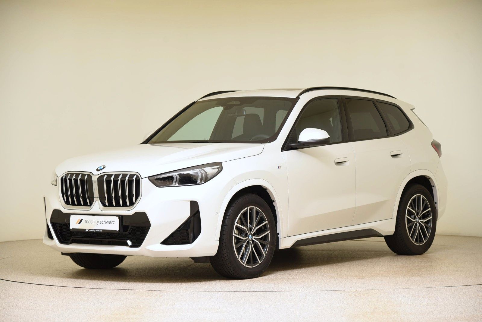 BMW X1 xDrive20d M Sport H&K Pano ACC AHK Aktivsitz
