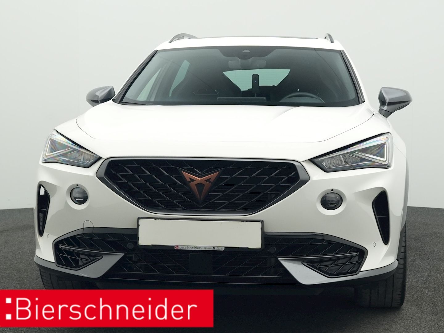 Cupra Formentor 2.0 TSI DSG 4Dr. VZ PANO BREMBO AHK LE