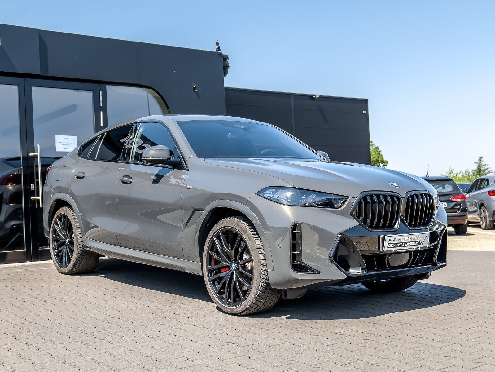 BMW X6 xDrive40d M Sport PANO ACC AHK RFK NAVI LED