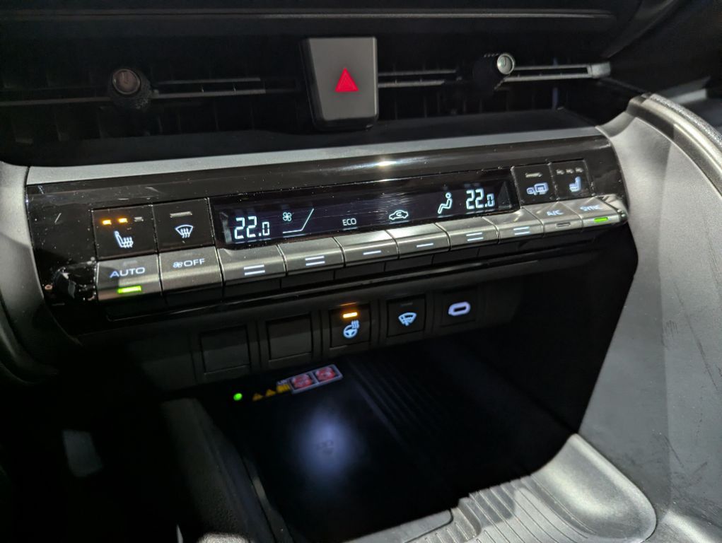 Toyota C-HR 2.0 Plug-in-Hybrid Team Deutschland