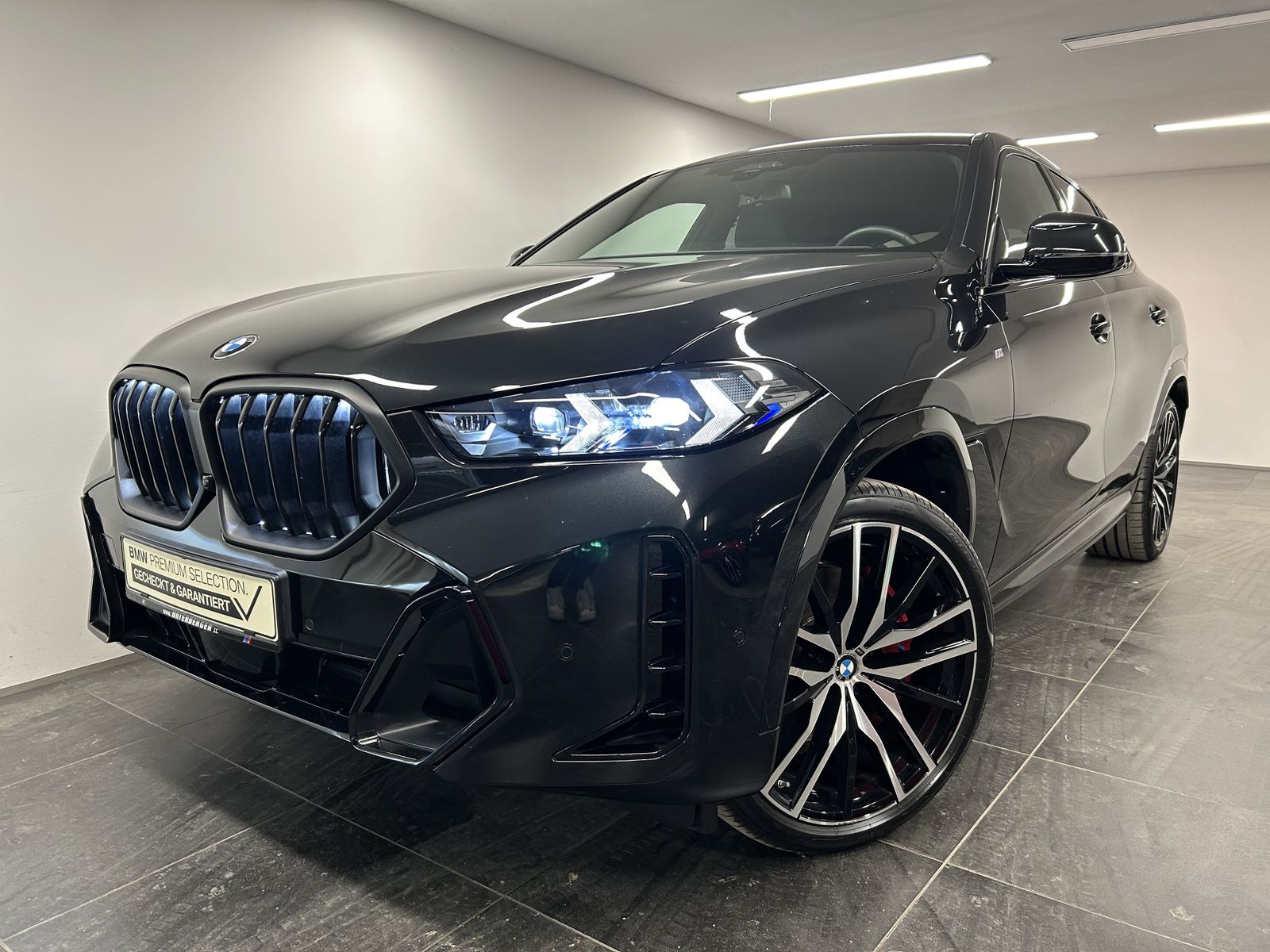 BMW X6 xDrive40d M Sport Sportpaket Standheizung, Sk